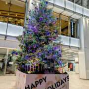 ヒメ日記 2025/12/22 17:15 投稿 せな 錦糸町人妻セレブリティ（ユメオト）