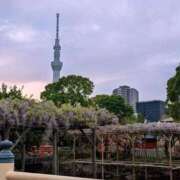 ヒメ日記 2026/04/13 19:59 投稿 せな 錦糸町人妻セレブリティ（ユメオト）