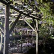 せな 食べ方迷子 錦糸町人妻セレブリティ（ユメオト）