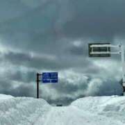 ヒメ日記 2025/01/03 09:47 投稿 こころ 池袋おかあさん