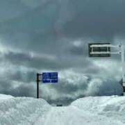 ヒメ日記 2025/01/03 09:54 投稿 こころ 池袋おかあさん