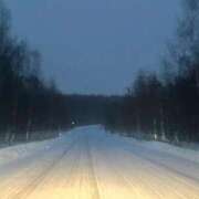 ヒメ日記 2025/02/16 07:56 投稿 こころ 池袋おかあさん