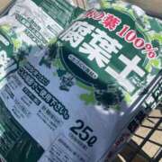 ヒメ日記 2025/03/21 12:10 投稿 こころ 池袋おかあさん