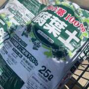 ヒメ日記 2025/03/21 12:24 投稿 こころ 池袋おかあさん