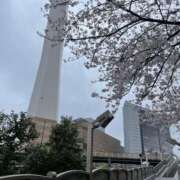 ヒメ日記 2025/03/30 07:44 投稿 こころ 池袋おかあさん