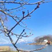 ヒメ日記 2025/04/05 12:10 投稿 こころ 池袋おかあさん