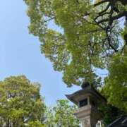 ヒメ日記 2025/04/19 14:14 投稿 こころ 池袋おかあさん