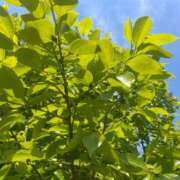 ヒメ日記 2025/04/28 09:44 投稿 こころ 池袋おかあさん