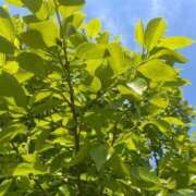 ヒメ日記 2025/04/28 10:02 投稿 こころ 池袋おかあさん