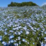 ヒメ日記 2025/04/29 16:34 投稿 こころ 池袋おかあさん