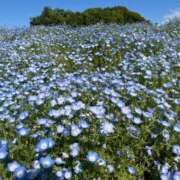 ヒメ日記 2025/04/29 16:44 投稿 こころ 池袋おかあさん