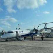 ヒメ日記 2025/05/31 07:44 投稿 こころ 池袋おかあさん