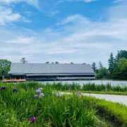 ヒメ日記 2025/05/31 17:05 投稿 こころ 池袋おかあさん