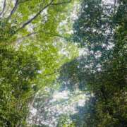 ヒメ日記 2025/06/07 14:17 投稿 こころ 池袋おかあさん