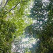 ヒメ日記 2025/06/07 14:36 投稿 こころ 池袋おかあさん