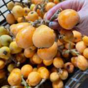 ヒメ日記 2025/06/21 13:24 投稿 こころ 池袋おかあさん