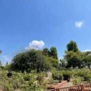 ヒメ日記 2025/08/03 11:04 投稿 こころ 池袋おかあさん