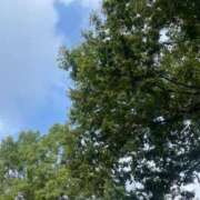 ヒメ日記 2025/08/17 08:44 投稿 こころ 池袋おかあさん