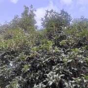 ヒメ日記 2025/09/28 07:44 投稿 こころ 池袋おかあさん