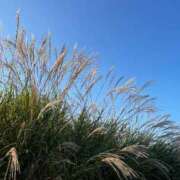 ヒメ日記 2025/11/01 07:54 投稿 こころ 池袋おかあさん