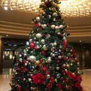 ヒメ日記 2025/12/22 08:50 投稿 こころ 池袋おかあさん