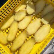 ヒメ日記 2025/12/29 10:39 投稿 こころ 池袋おかあさん