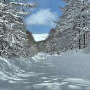 ヒメ日記 2026/01/04 08:08 投稿 こころ 池袋おかあさん