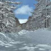 ヒメ日記 2026/01/04 08:24 投稿 こころ 池袋おかあさん