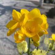 ヒメ日記 2026/03/30 08:00 投稿 こころ 池袋おかあさん