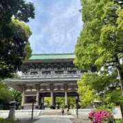 ヒメ日記 2026/04/19 13:44 投稿 こころ 池袋おかあさん