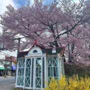 ヒメ日記 2026/04/29 13:44 投稿 こころ 池袋おかあさん