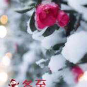 ヒメ日記 2024/12/21 12:18 投稿 つばき 池袋おかあさん