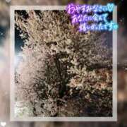 ヒメ日記 2025/04/06 00:24 投稿 つばき 池袋おかあさん