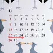 ヒメ日記 2025/06/21 20:44 投稿 つばき 池袋おかあさん