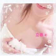 つばき 立春🌸 池袋おかあさん