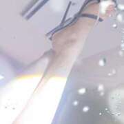 つばき 風が冷たい🤧 池袋おかあさん