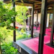 ヒメ日記 2025/08/08 12:54 投稿 ますみ 池袋おかあさん