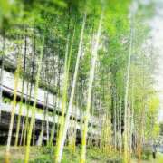 ヒメ日記 2025/10/10 11:54 投稿 ますみ 池袋おかあさん