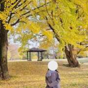 ヒメ日記 2025/11/27 11:36 投稿 ますみ 池袋おかあさん