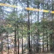 ヒメ日記 2026/01/28 10:54 投稿 ますみ 池袋おかあさん