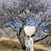 ますみ 梅が美しい。 池袋おかあさん