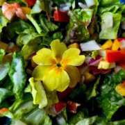 ヒメ日記 2026/04/01 11:14 投稿 ますみ 池袋おかあさん