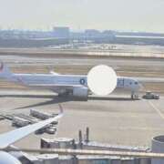 ますみ 飛行機。 池袋おかあさん