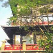 ヒメ日記 2026/08/08 20:04 投稿 ますみ 池袋おかあさん