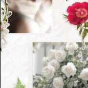 ヒメ日記 2025/08/29 09:45 投稿 まひろ 池袋おかあさん