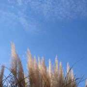 ヒメ日記 2024/12/18 16:06 投稿 まゆ 熟女家 京橋店