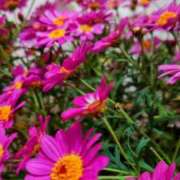 ヒメ日記 2025/05/07 06:56 投稿 まゆ 熟女家 京橋店