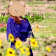 ヒメ日記 2025/10/03 07:36 投稿 まゆ 熟女家 京橋店