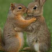 ヒメ日記 2025/11/17 20:56 投稿 まゆ 熟女家 京橋店