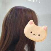 まゆ クマは悪くない 熟女家 京橋店